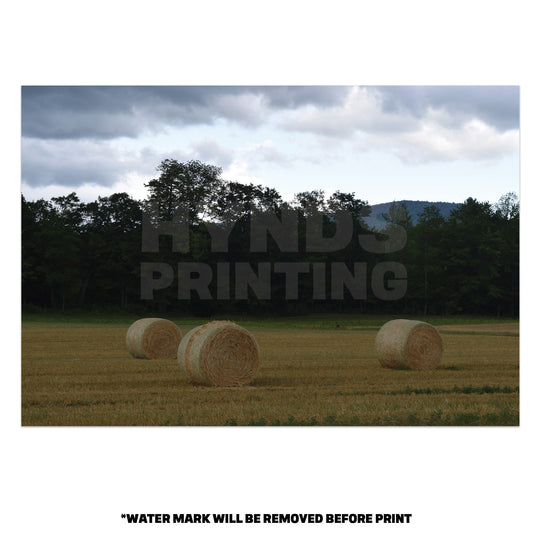 Hay Bails on a farm, New Hampshire-Office Wall Art